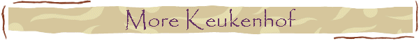 More Keukenhof