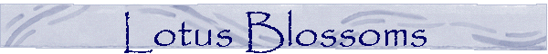 Lotus Blossoms